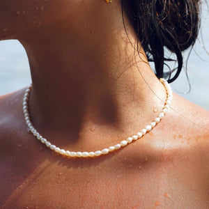 Freshwater Pearl Choker Necklace, 18K Gold Stainless Steel, Waterproof