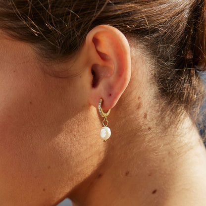 Freshwater Pearl Hoop Earrings, 18K Gold Stainless Steel, Waterproof - Mari Gavane