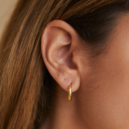 Hammered Huggie Hoop Earrings, 18K Gold Stainless Steel, Waterproof - Mari Gavane