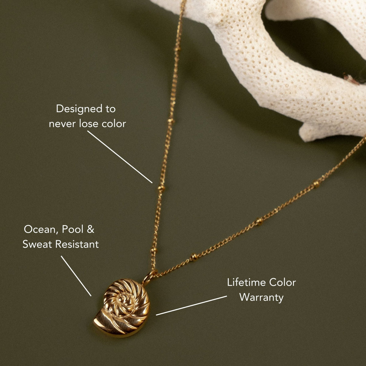 Nautilus Shell Pendant Necklace, 18K Gold Stainless Steel, Waterproof - Mari Gavane
