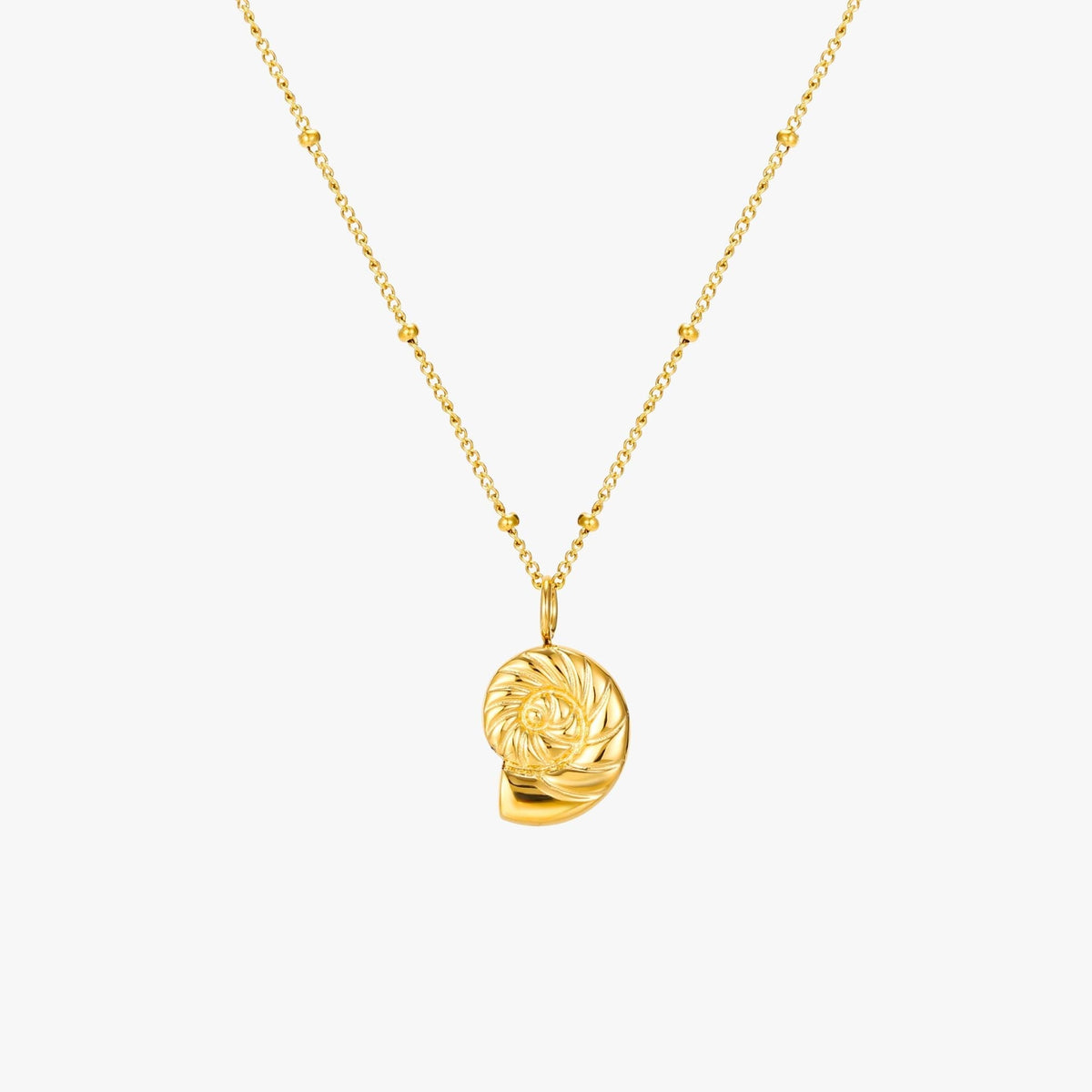Nautilus Shell Pendant Necklace, 18K Gold Stainless Steel, Waterproof - Mari Gavane
