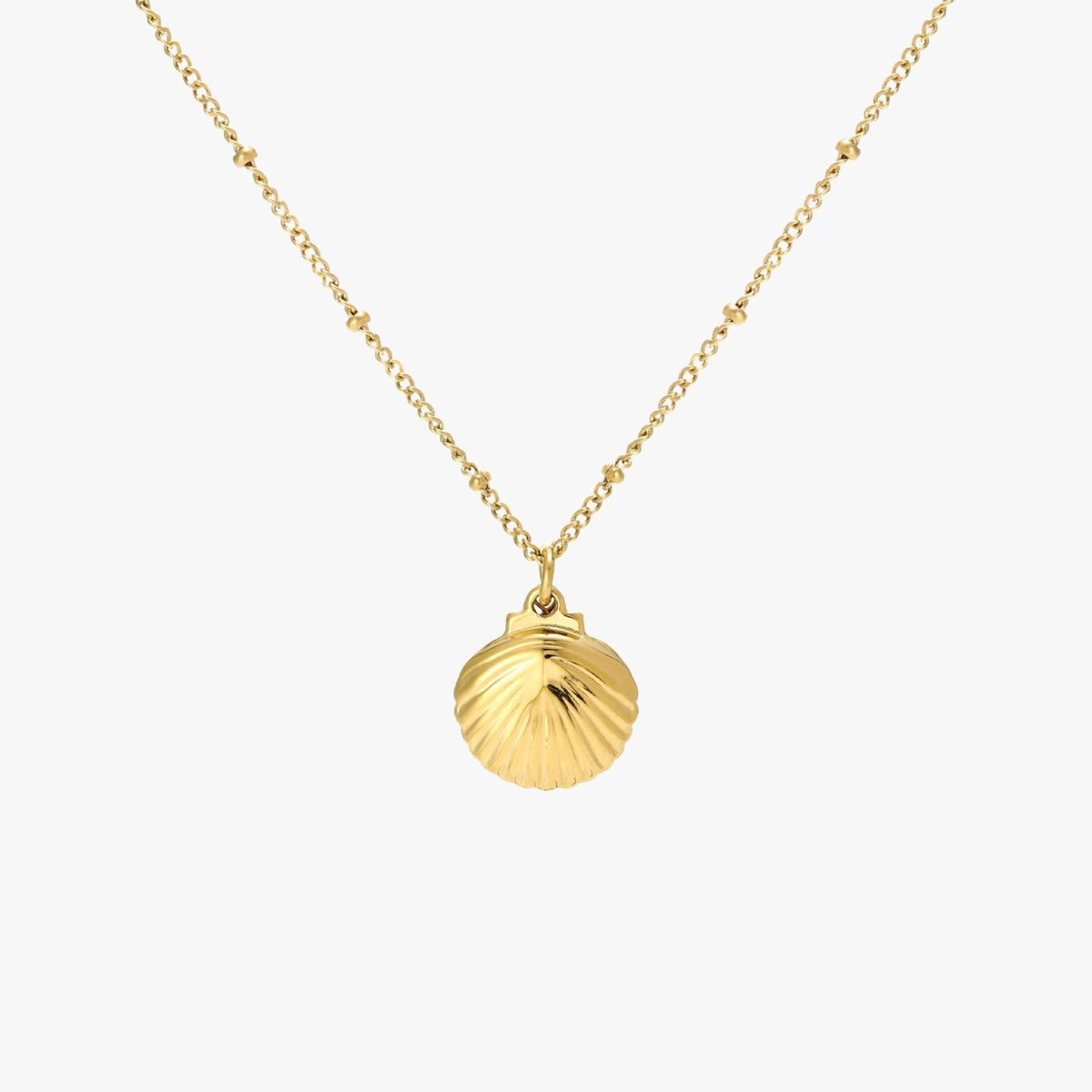 Seashell Pearl Pendant Necklace, 18K Gold Stainless Steel, Waterproof - Mari Gavane