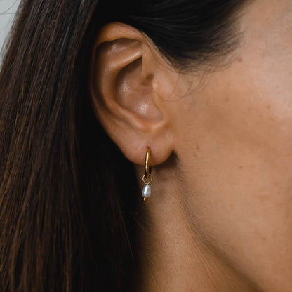 Single Freshwater Pearl Huggie Hoop Earrings, 18K Gold Stainless Steel, Waterproof - Mari Gavane