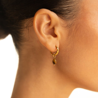 Tiger Eye Hoops Earrings - Mari Gavane